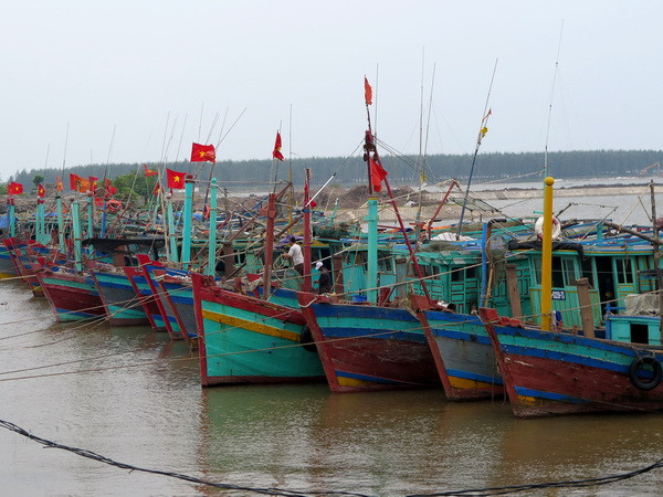 Các tỉnh Đông Bắc Bắc Bộ đã có mưa vừa, mưa to đến rất to ảnh 1