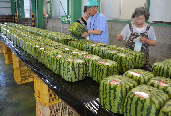 Nhật Bản thúc đẩy xuất khẩu hàng nông sản sang Trung Đông ảnh 1