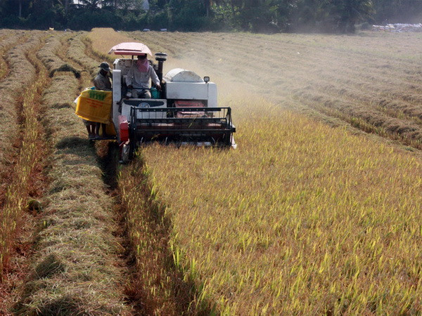 Việt Nam chia sẻ kinh nghiệm bảo đảm an ninh lương thực với ASEAN ảnh 1