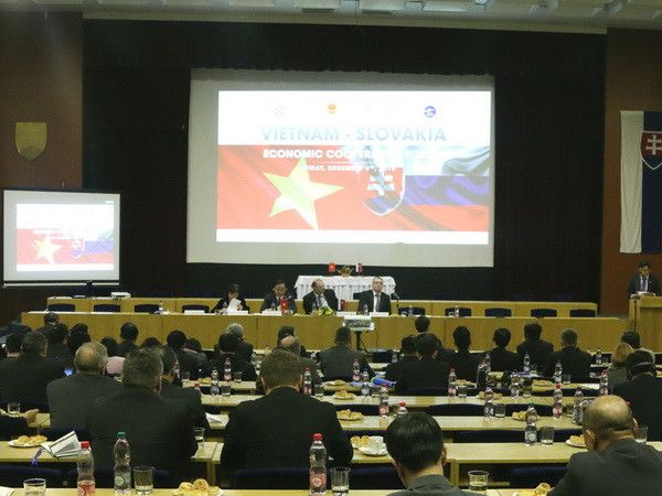 Việt Nam sẵn sàng hỗ trợ các doanh nghiệp Slovakia đến đầu tư ảnh 1