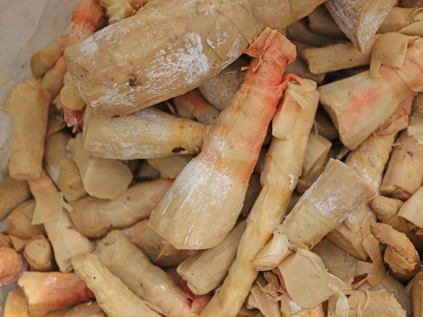 Thu giữ hơn 10 tấn măng ngâm ủ đã chuyển màu đỏ hoặc mốc trắng ảnh 1