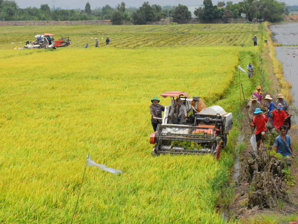 WB giúp Đồng bằng sông Cửu Long ứng phó với biến đổi khí hậu ảnh 1