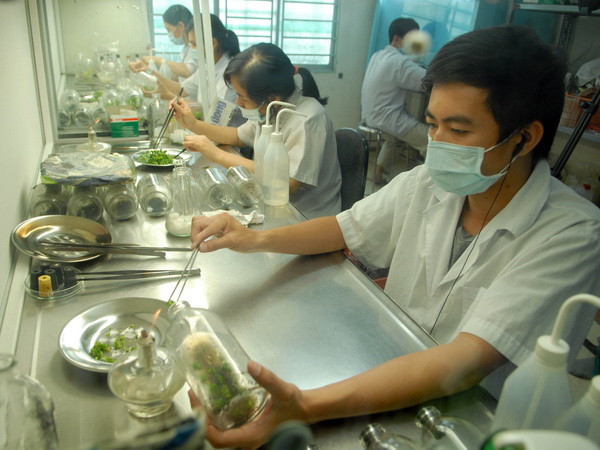 Trả lương 150 triệu đồng một tháng cho chuyên gia khoa học công nghệ ảnh 1