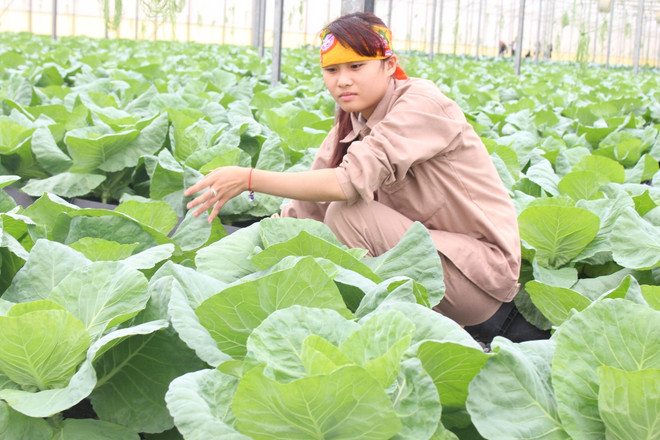 ‘Hướng đi nào cho người nông dân’ giành giải nhất về biến đổi khí hậu ảnh 2