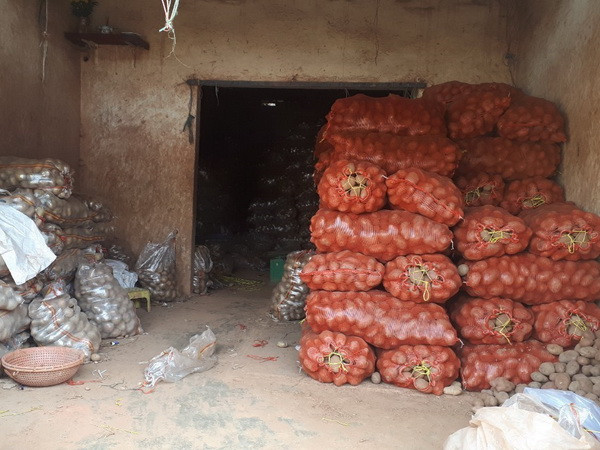 Phát hiện cơ sở đánh tráo khoai tây Trung Quốc thành khoai tây Đà Lạt ảnh 1