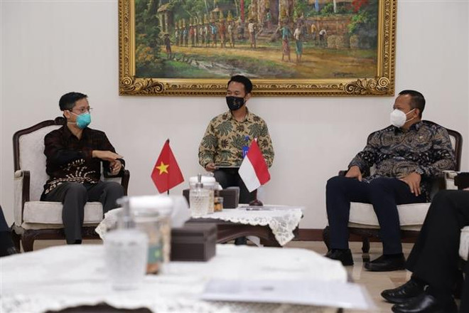 Việt Nam-Indonesia tăng cường hợp tác trong lĩnh vực biển và nghề cá ảnh 1