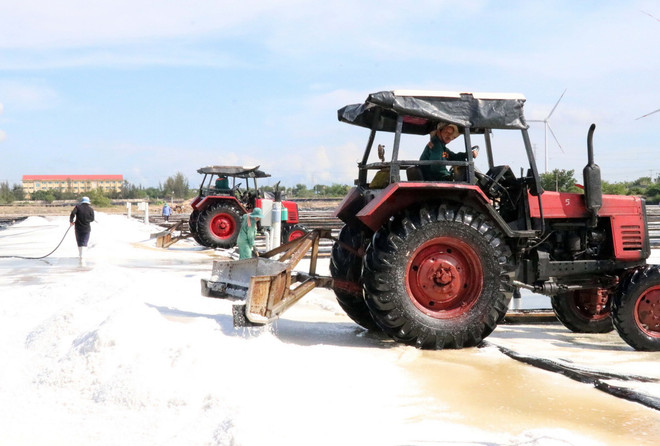 Sản xuất muối là thế mạnh phát triển của vùng kinh tế trọng điểm phía Nam tỉnh Ninh Thuận. (Ảnh: Công Thử/TTXVN) TTXVN_1710 Ninh Thuan vung kinh te trong diem (2).jpg