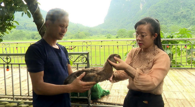 TTXVN_1710 vit Co Lung 3.jpg