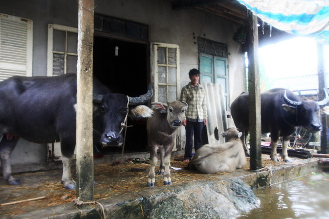 Nước rút chậm, hơn 45.000 ngôi nhà ở Huế vẫn ngập sâu gần 1m ảnh 3