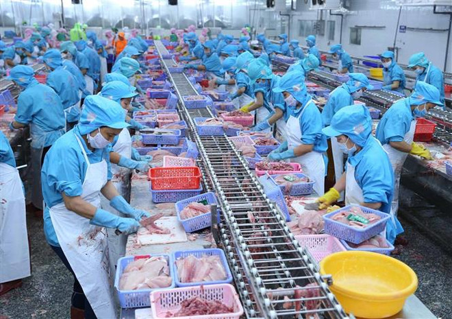 Cơ hội thúc đẩy hợp tác Việt Nam-Brazil trong các lĩnh vực mới ảnh 3