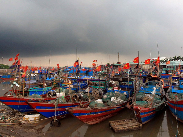 Từ tối 18/7, bão số 3 gây gió giật cấp 11 từ Nam Thanh Hóa đến Hà Tĩnh ảnh 1