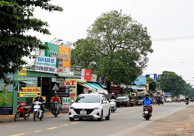 Những miền quê khởi sắc nhờ xây dựng nông thôn mới ở Tây Ninh ảnh 1