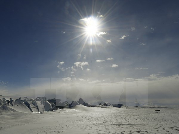 Sự kiện quốc tế 30/10-5/11: Các vụ tấn công liên tiếp tại Mỹ ảnh 3