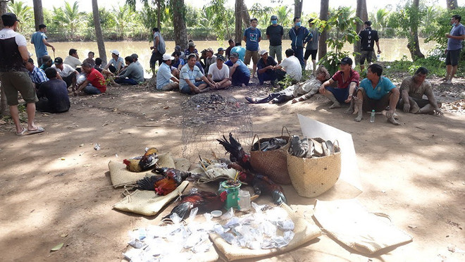 Triệt phá tụ điểm đá gà ăn tiền giữa cánh đồng, bắt giữ 36 đối tượng ảnh 1