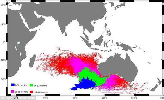 Lý do để tin rằng mảnh vỡ mới tìm thấy là của máy bay MH370 ảnh 3