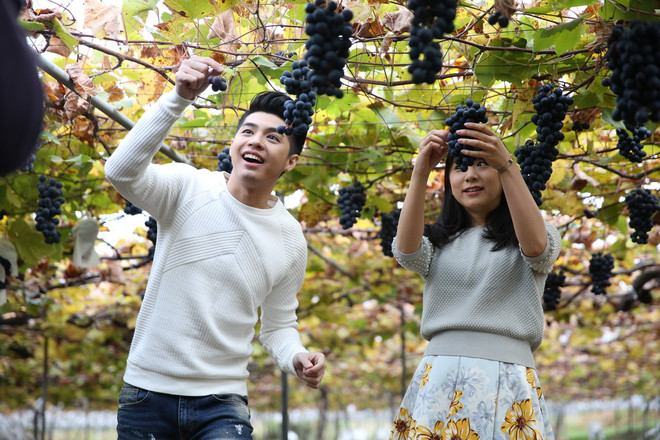 Ishikawa - Nơi giao thoa truyền thống với thiên nhiên ảnh 8