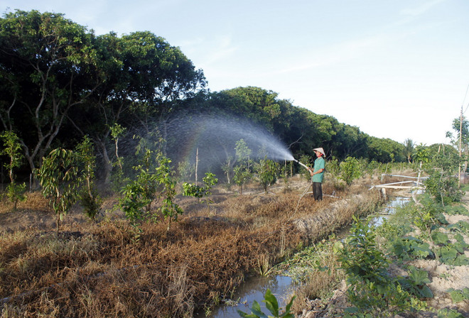 Năm 2015, Vĩnh Long đầu tư gần 1.110 tỷ đồng xây dựng cơ bản ảnh 1