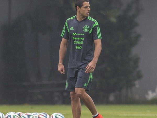 Javier Hernandez phải ngồi ghế dự bị trong trận gặp Cameroon ảnh 1