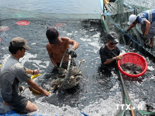 Nâng cao nhận thức cho ngư dân về bảo vệ nguồn lợi thủy sản ảnh 1