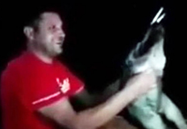 Phẫn nộ khi chứng kiến chú chó bị đánh đập và bắt hít thuốc lá ảnh 2