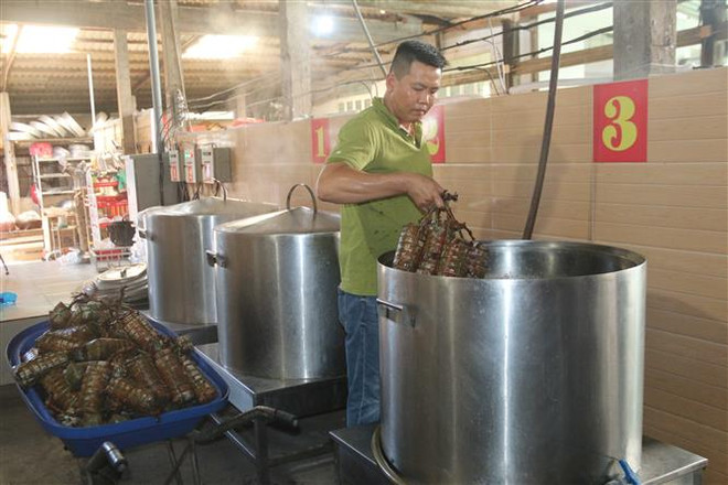 Cần chính sách sát thực tế để chuyển hộ kinh doanh thành doanh nghiệp ảnh 3