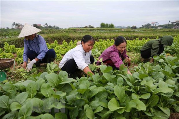 Công bố 10 sự kiện tiêu biểu của Thủ đô Hà Nội năm 2019 ảnh 2