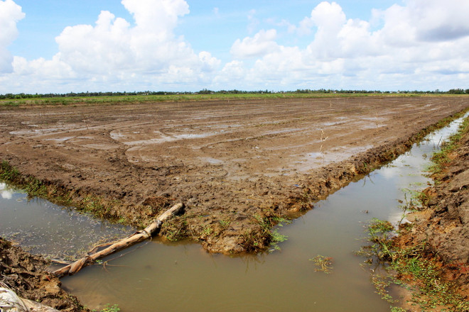 Gồng mình chống chọi những tác động từ đợt El Nino kéo dài ảnh 3