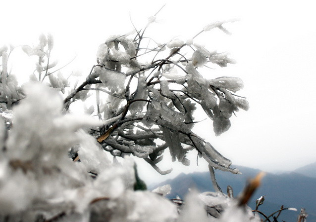 Các tỉnh Bắc Bộ rét đậm, rét hại, vùng cao xuất hiện băng giá ảnh 1