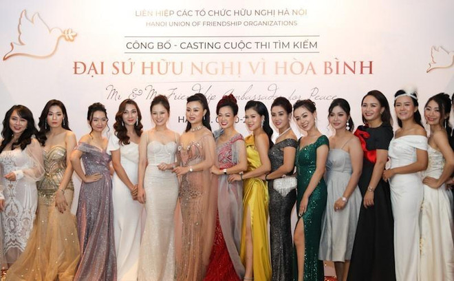 Phát động thi tìm kiếm Đại sứ hữu nghị vì hòa bình thành phố Hà Nội ảnh 2