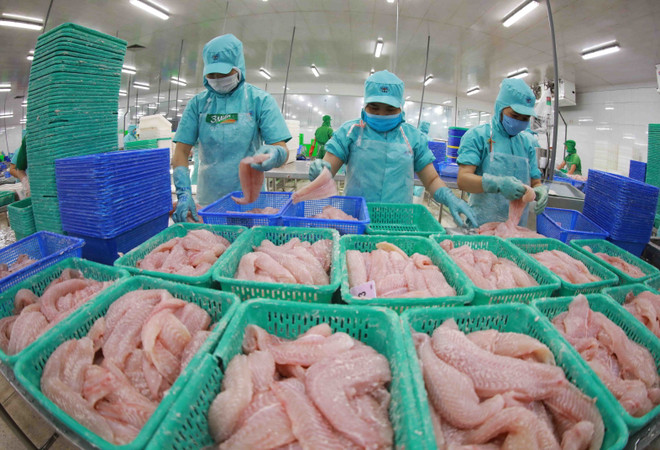 Việt Nam-Italy: Nắm vững thị trường để mở rộng hợp tác ảnh 3