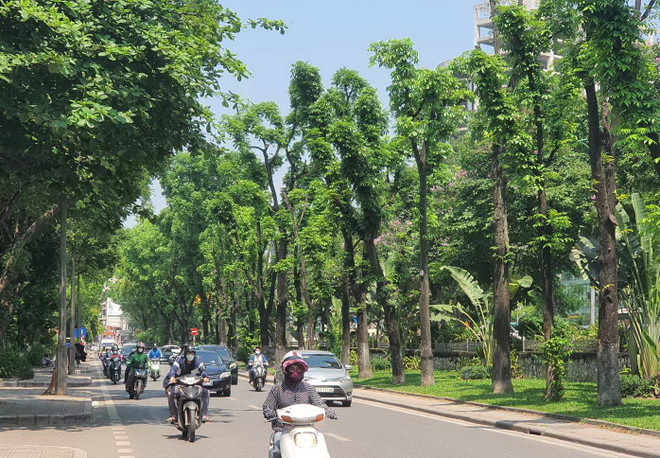 Khu vực Bắc Bộ và thủ đô Hà Nội đêm không mưa, ngày nắng nóng ảnh 1