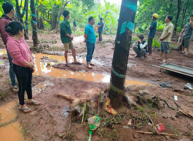 Bình Phước: Qua cầu khi mưa lớn, một người dân bị nước lũ cuốn trôi ảnh 1