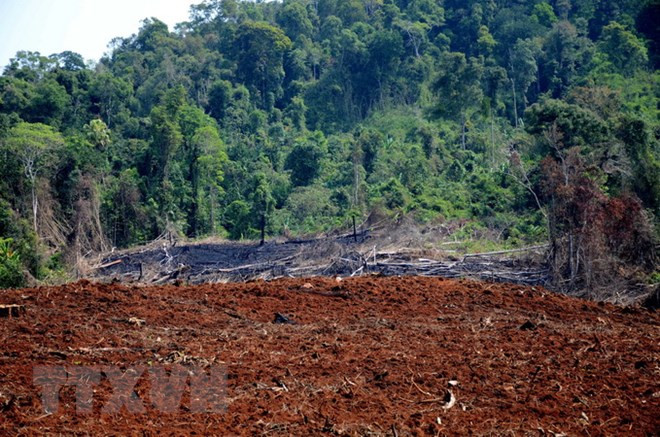 Xem xét, thi hành kỷ luật Ban cán sự đảng UBND tỉnh Đắk Nông ảnh 1