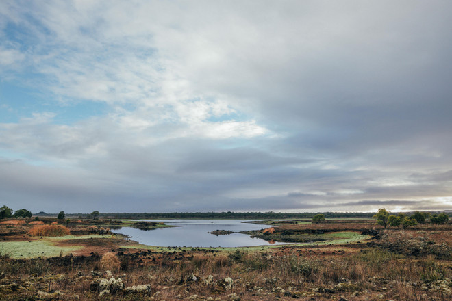 Khu văn hóa thổ dân Budj Bim được công nhận là di sản thế giới ảnh 1