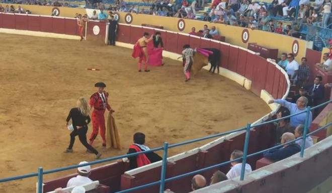 Sao phim khiêu dâm gây sốc khi nhảy vào sân an ủi chú bò sắp chết ảnh 1