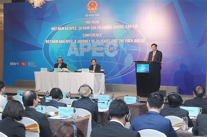 Việt Nam và APEC: 20 năm qua và chặng đường sắp tới ảnh 1