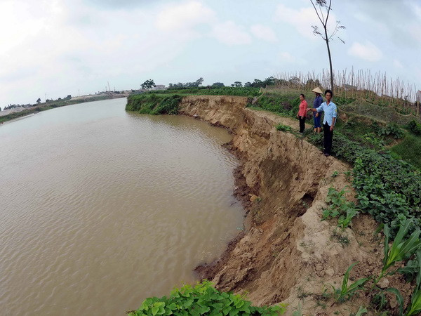 Tàu trọng tải lớn "nắn dòng" sông Cầu, đất canh tác bị cuốn trôi ảnh 1