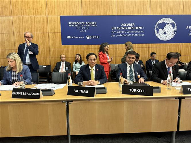 Bộ trưởng Ngoại giao Bùi Thanh Sơn dự hội nghị Hội đồng Bộ trưởng OECD ảnh 1