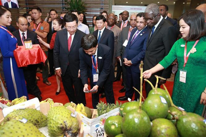 Hội nghị gặp mặt đại sứ các nước Trung Đông-châu Phi năm 2019 ảnh 1