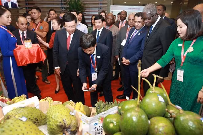 Hội nghị gặp mặt đại sứ các nước Trung Đông-châu Phi năm 2019 ảnh 1
