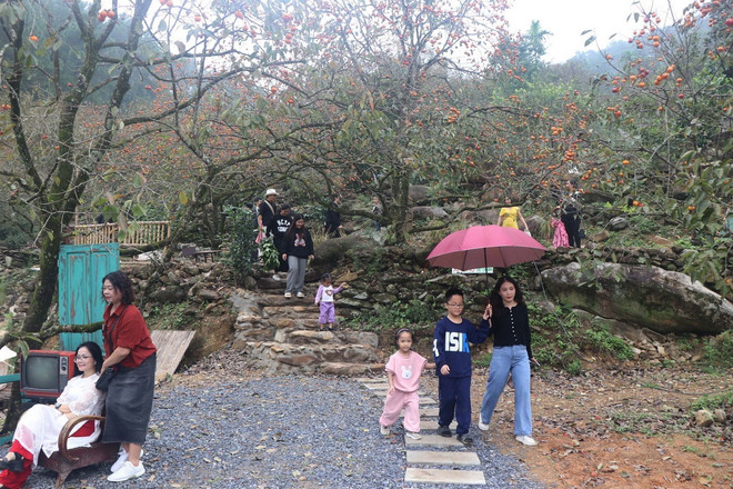 ttxvn vuon hong 130 tuoi3_resize.jpg