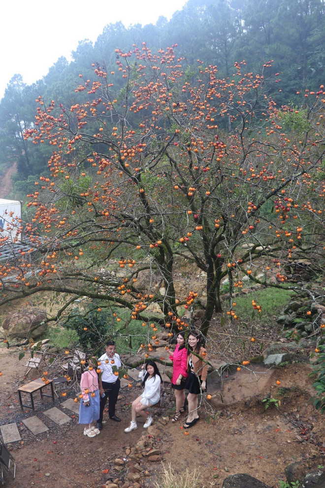 ttxvn vuon hong 130 tuoi2_resize.jpg