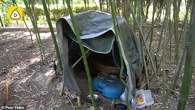 Người dân trong khu vực làm một chiếc lều cho Hei Zi. (Nguồn: Daily Mail) Chuyện chú chó trung thành chờ đợi chủ nhân trở về trong suốt 3 năm ảnh 2