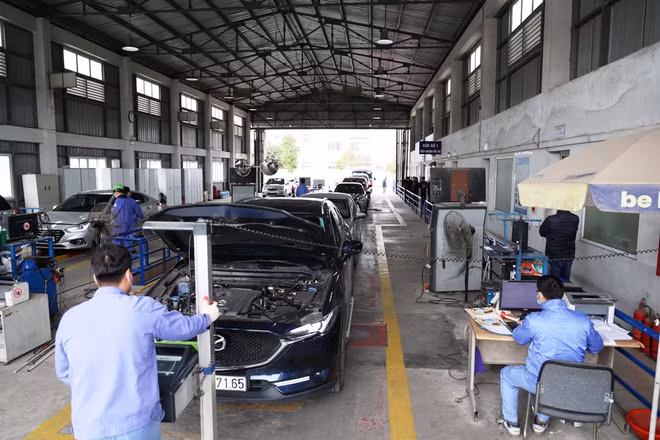 vnp-dang-kiem-xe-co-gioi-13012024-7942.jpg