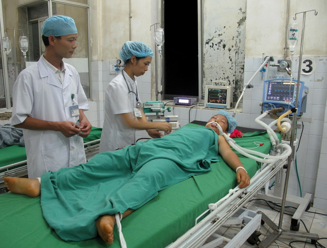 Hà Giang báo động tình trạng tử vong do ăn bột ngô mốc và nấm độc ảnh 1