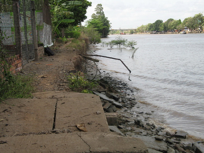 Sạt lở đê bao ven kênh Chợ Gạo gây nguy hiểm cho hàng chục hộ dân ảnh 1