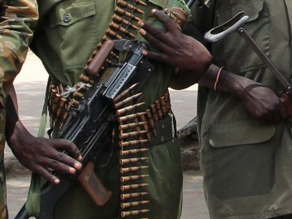 LHQ quan ngại về các vụ đụng độ ở khu vực Darfur tại Sudan ảnh 1