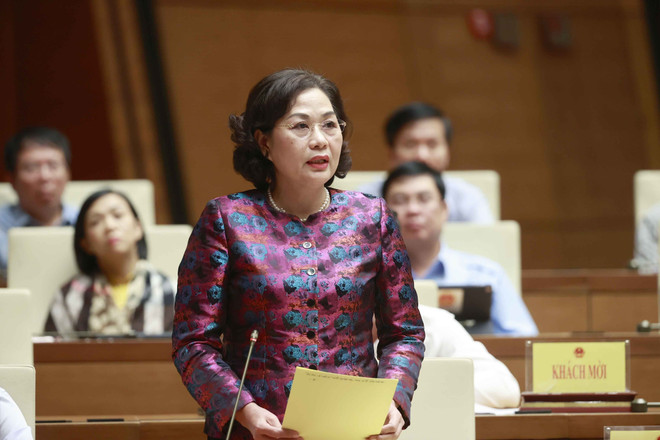 Đại biểu Quốc hội thảo luận về gỡ vướng mắc tín dụng ở các địa phương ảnh 1