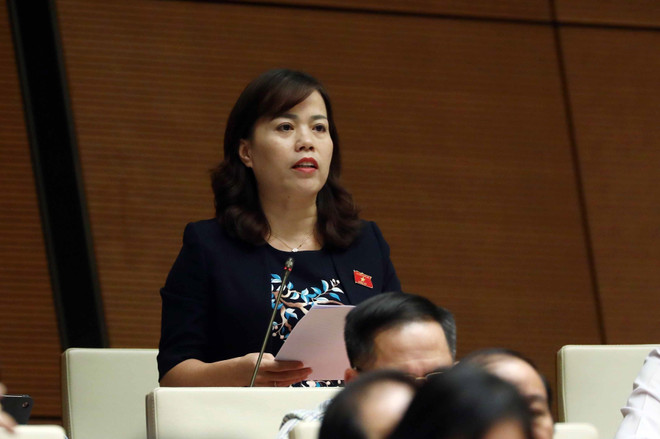 Đại biểu Quốc hội cho ý kiến về Chương trình Chuyển đổi Số Quốc gia ảnh 1