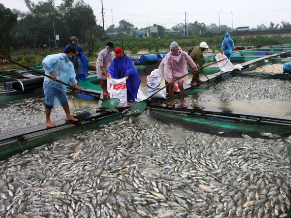 MTTQ ra lời kêu gọi ủng hộ đồng bào khắc phục thiệt hại do bão ảnh 1